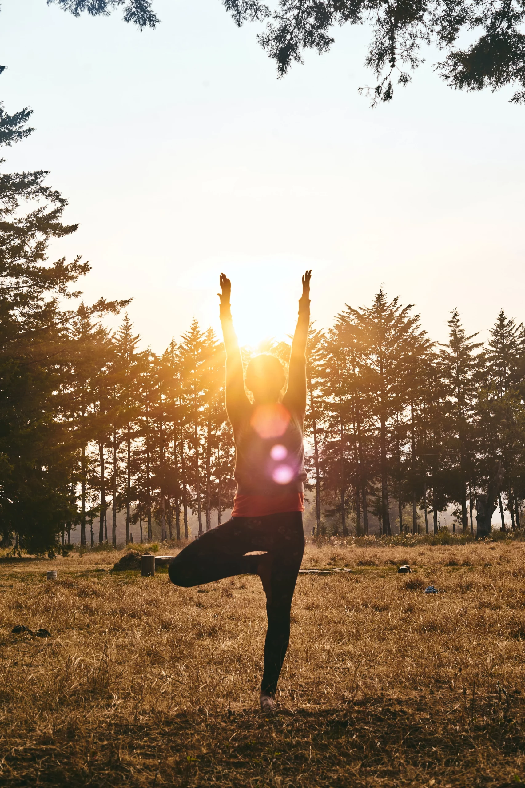 femme qui fait du yoga devant des arbres avec rayons de soleil