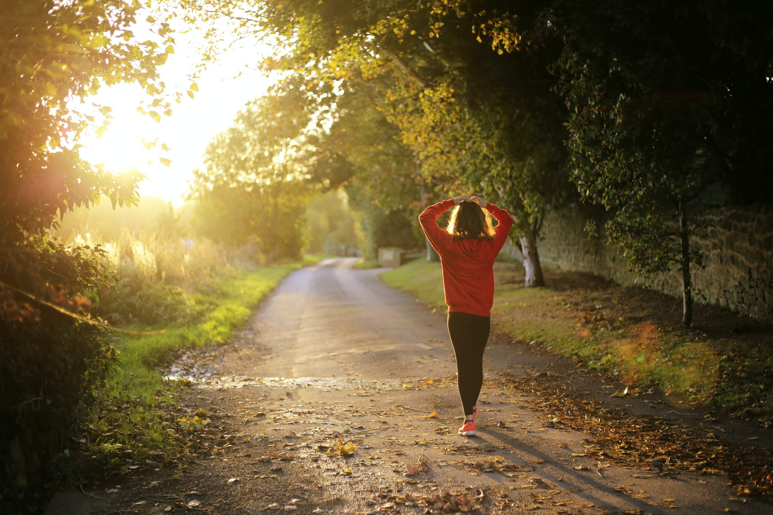 femme de dos qui marche sur un chemin de bois éclairé par le soleil